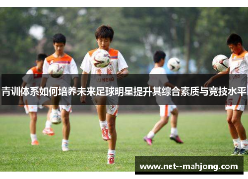 青训体系如何培养未来足球明星提升其综合素质与竞技水平
